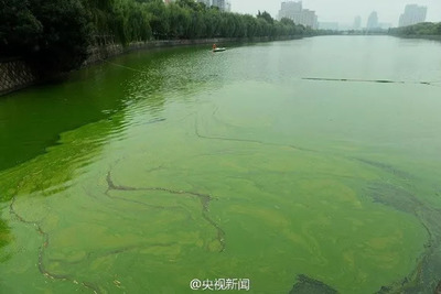 珍愛生命之水 聚焦水污染與治理，守護藍色家園