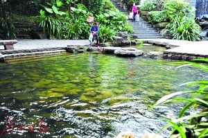 2017年廣州市兩會 水務(wù)局預(yù)算劍指水污染治理，高效著力環(huán)保技術(shù)開發(fā)服務(wù)